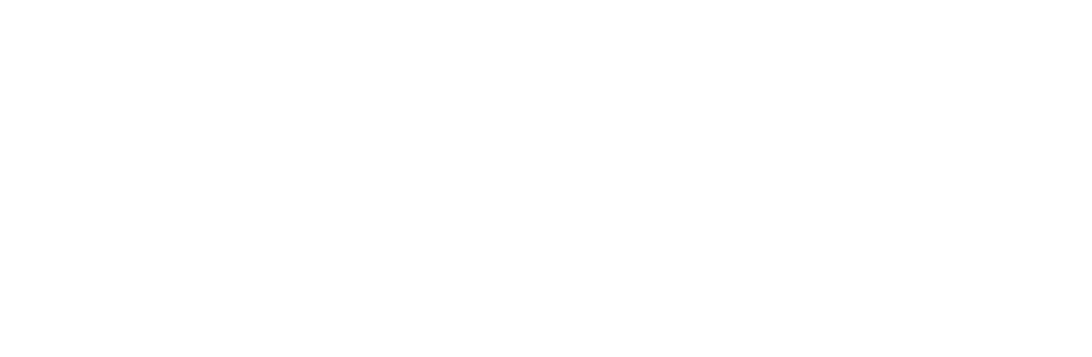 Wayne Manufacturing